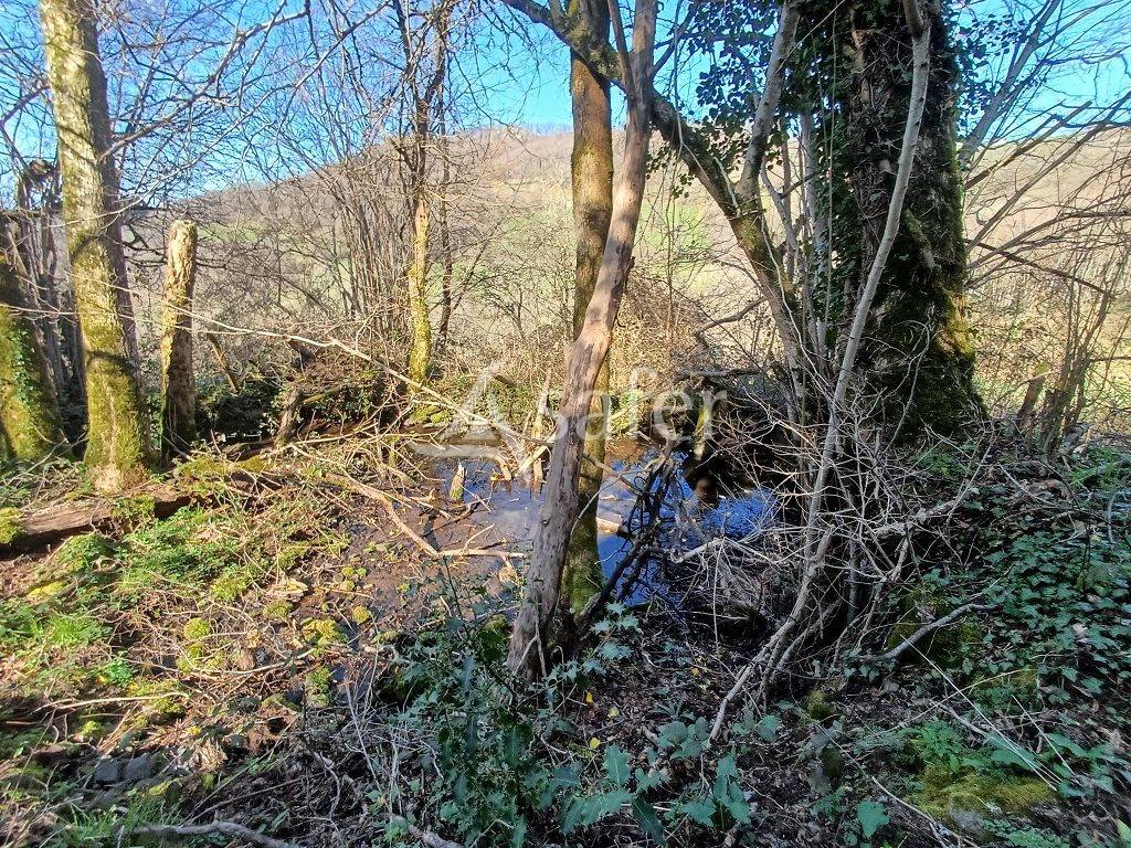 Ensemble de parcelles en diverses nature sur 16 ha 50
