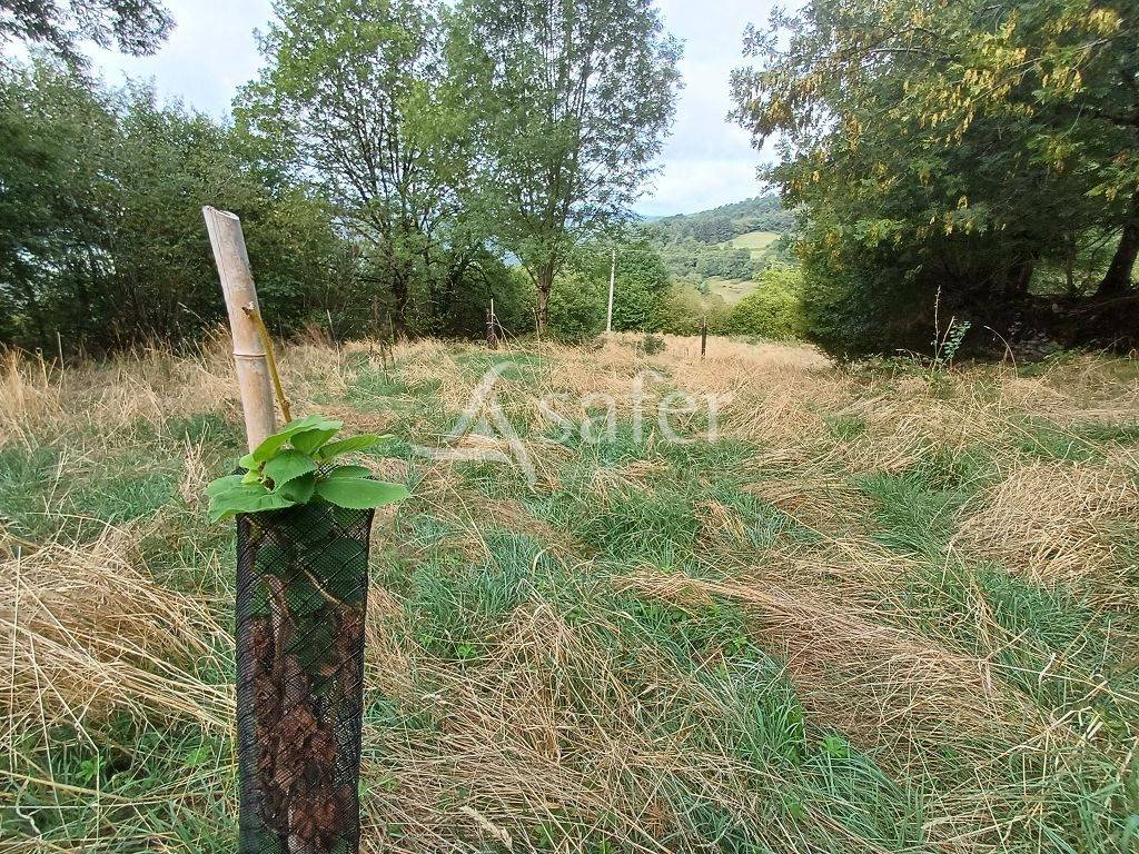 Ensemble de parcelles en diverses nature sur 16 ha 50