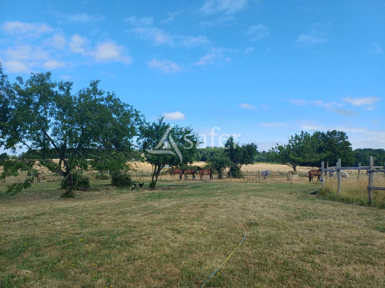 Propri&eacute;t&eacute; rurale avec 7Ha