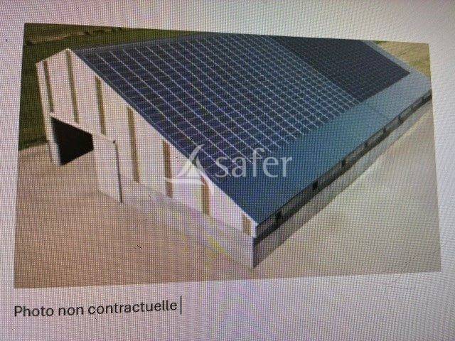 EXPLOITATION LAIT AOP COMTE