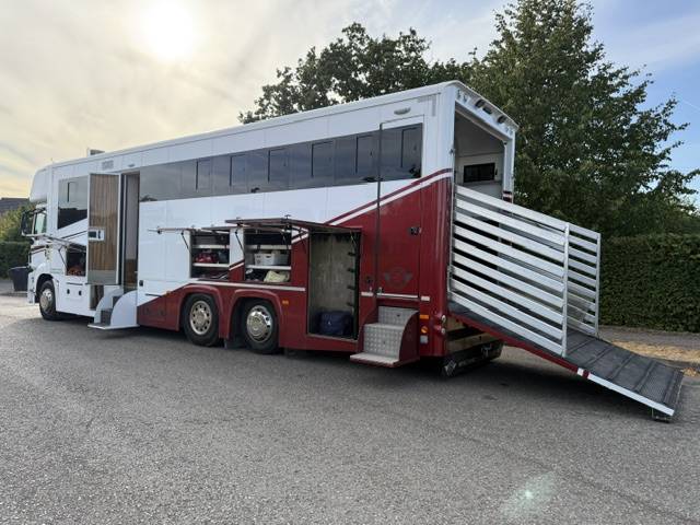 Camion VL Chevaux Man TGS Empire Ultimate  2013 Occasion