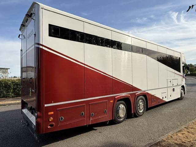 Camion VL Chevaux Man TGS Empire Ultimate  2013 Occasion
