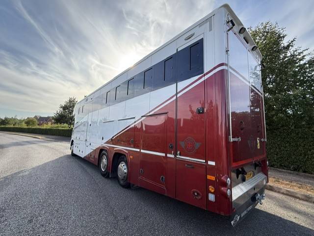 Camion VL Chevaux Man TGS Empire Ultimate  2013 Occasion