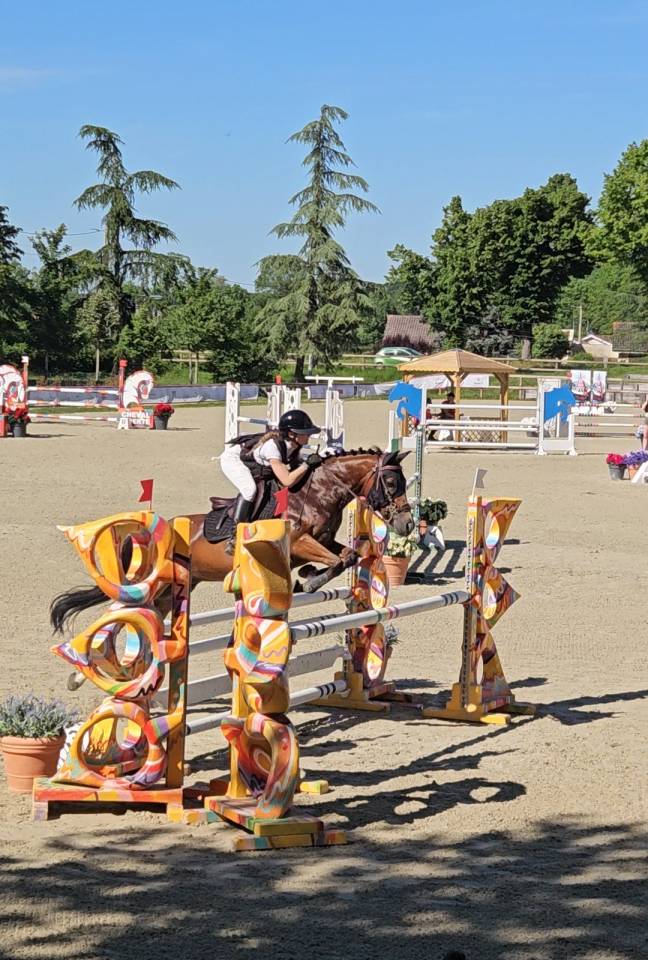 PFS Hongre 9 ans - P Elite As2