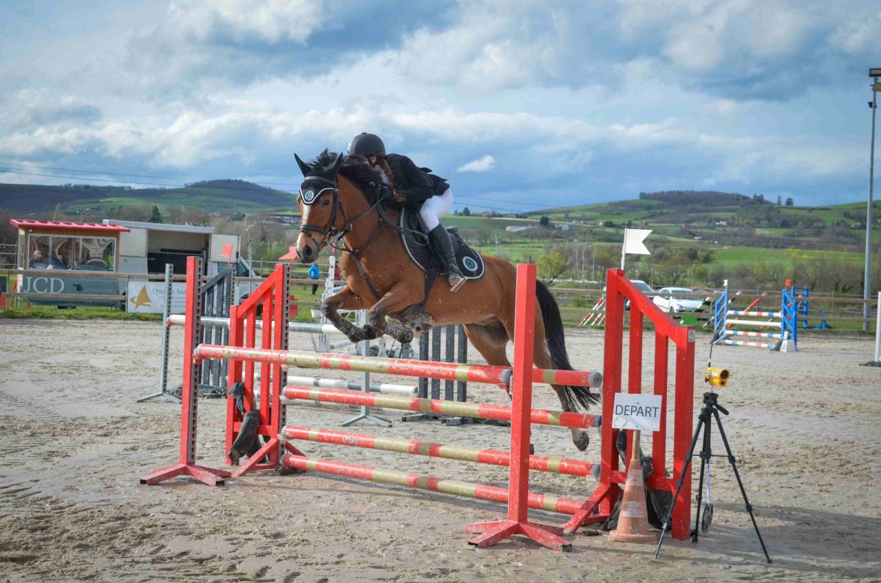 PFS Hongre 9 ans - P Elite As2