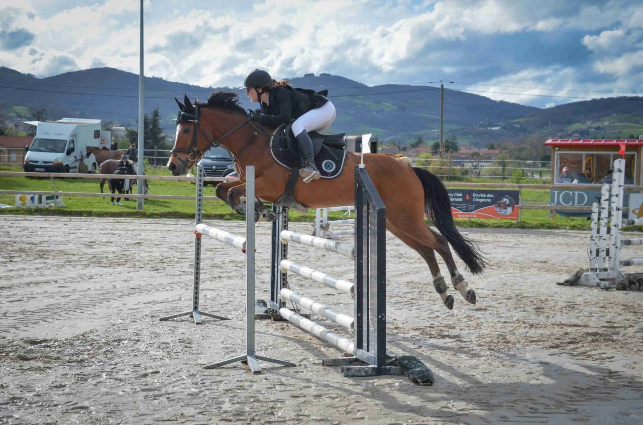 PFS Hongre 9 ans - P Elite As2