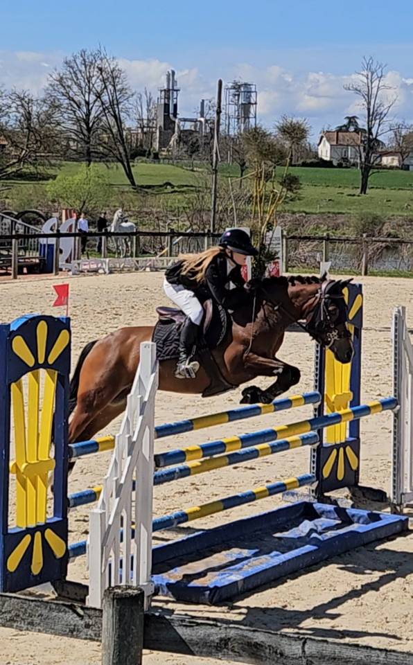 PFS Hongre 9 ans - P Elite As2
