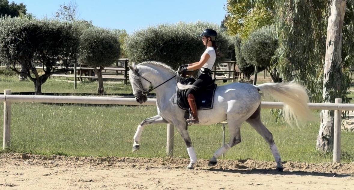Cheval Dress&eacute;