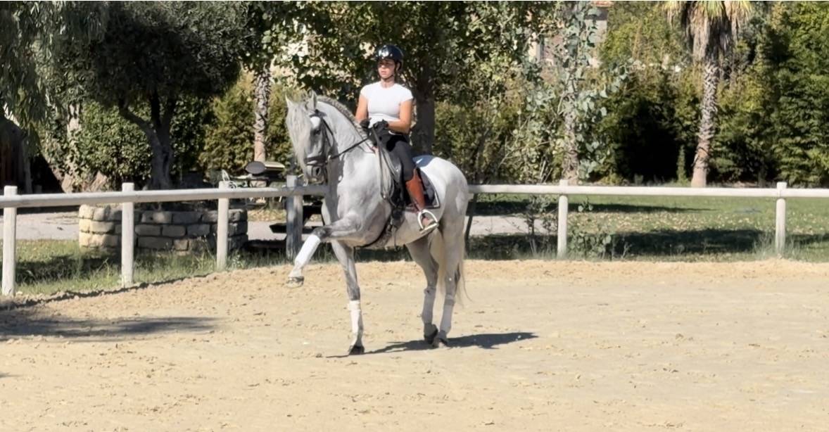 Cheval Dress&eacute;