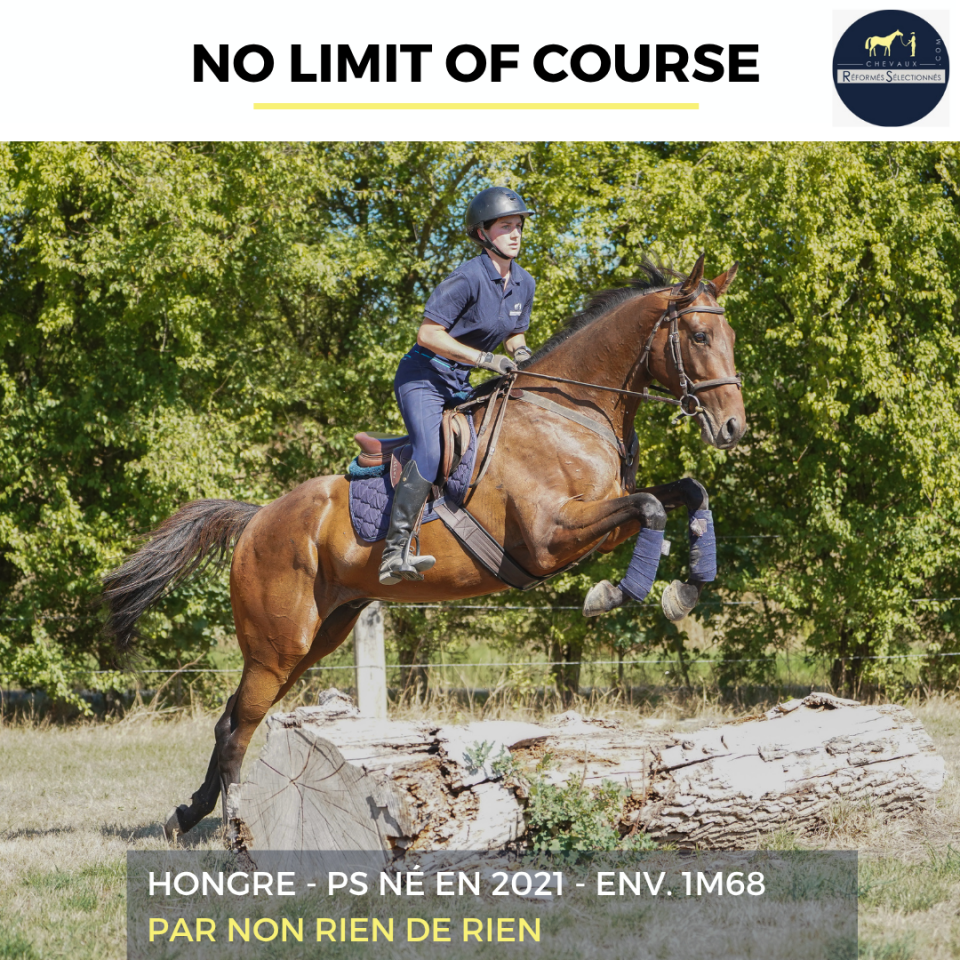 NO LIMIT OF COURSE - PS - 4 ANS