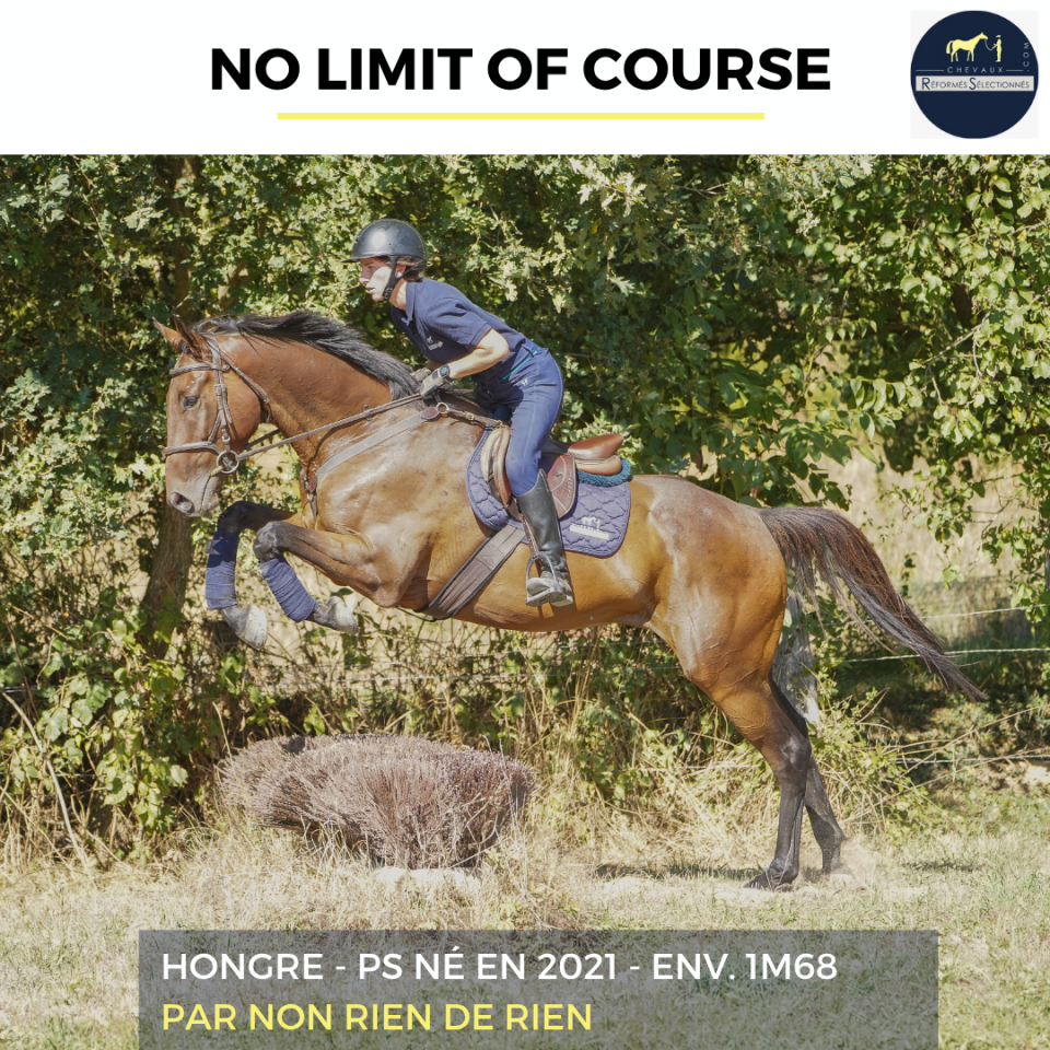 NO LIMIT OF COURSE - PS - 4 ANS