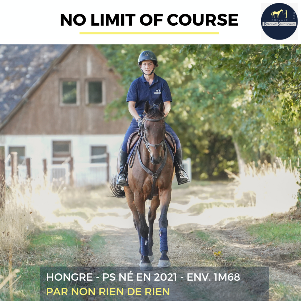 NO LIMIT OF COURSE - PS - 4 ANS