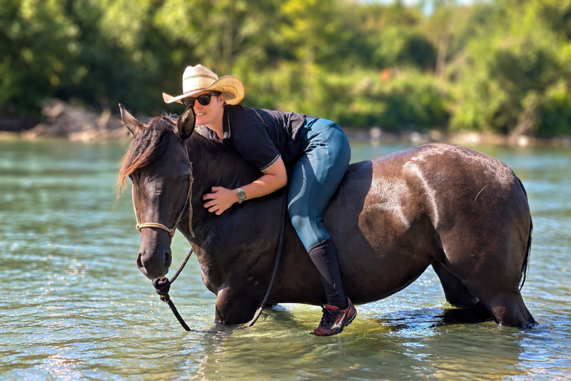 KALA - Quarter Horse Grullo