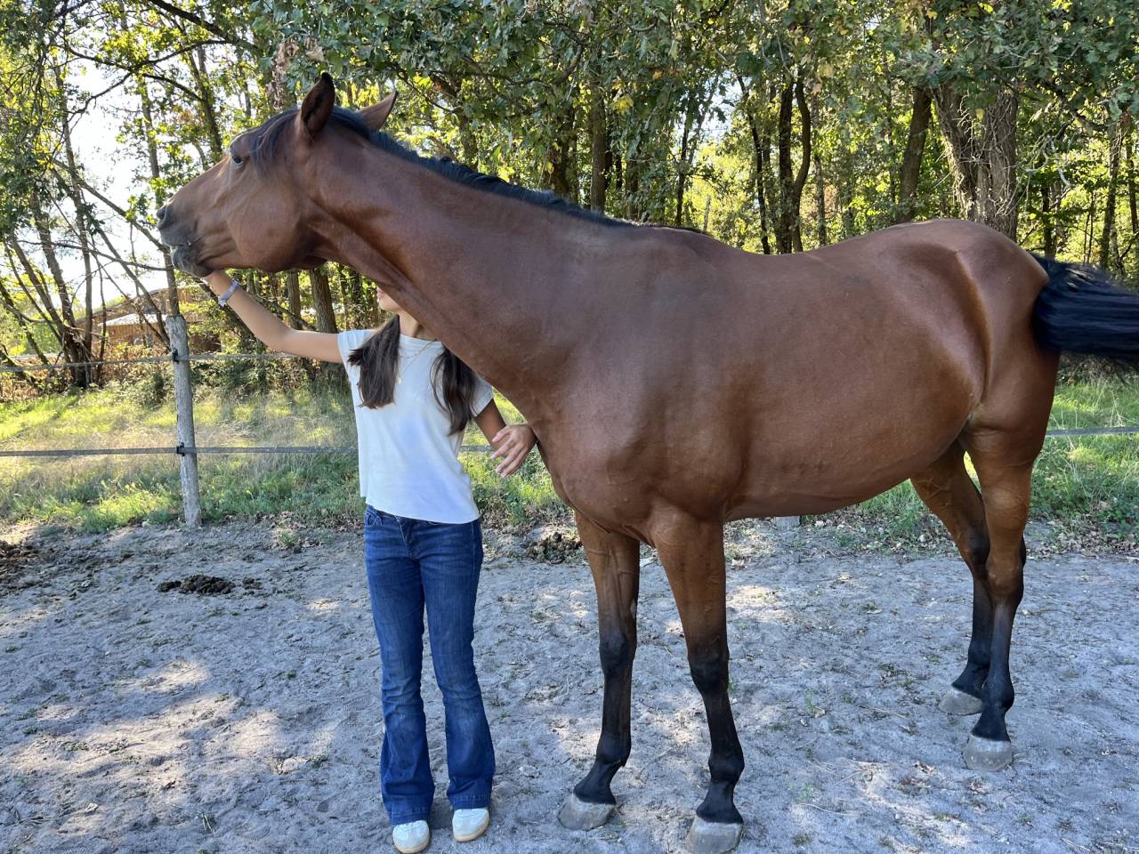 Trotteuse de 5 ans 