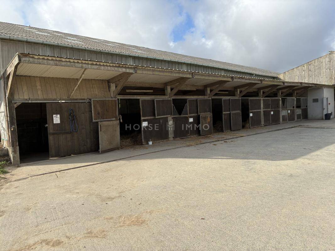 Exclusivit&eacute;, Ecurie 30 boxes, 2 man&egrave;ges, carri&egrave;re, 8 ha