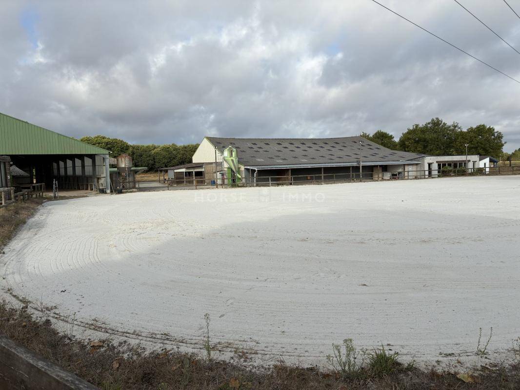Exclusivit&eacute;, Ecurie 30 boxes, 2 man&egrave;ges, carri&egrave;re, 8 ha