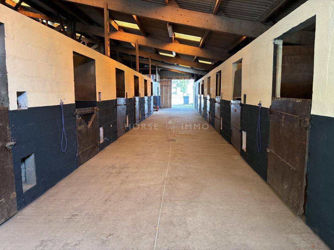 Exclusivit&eacute;, Ecurie 30 boxes, 2 man&egrave;ges, carri&egrave;re, 8 ha
