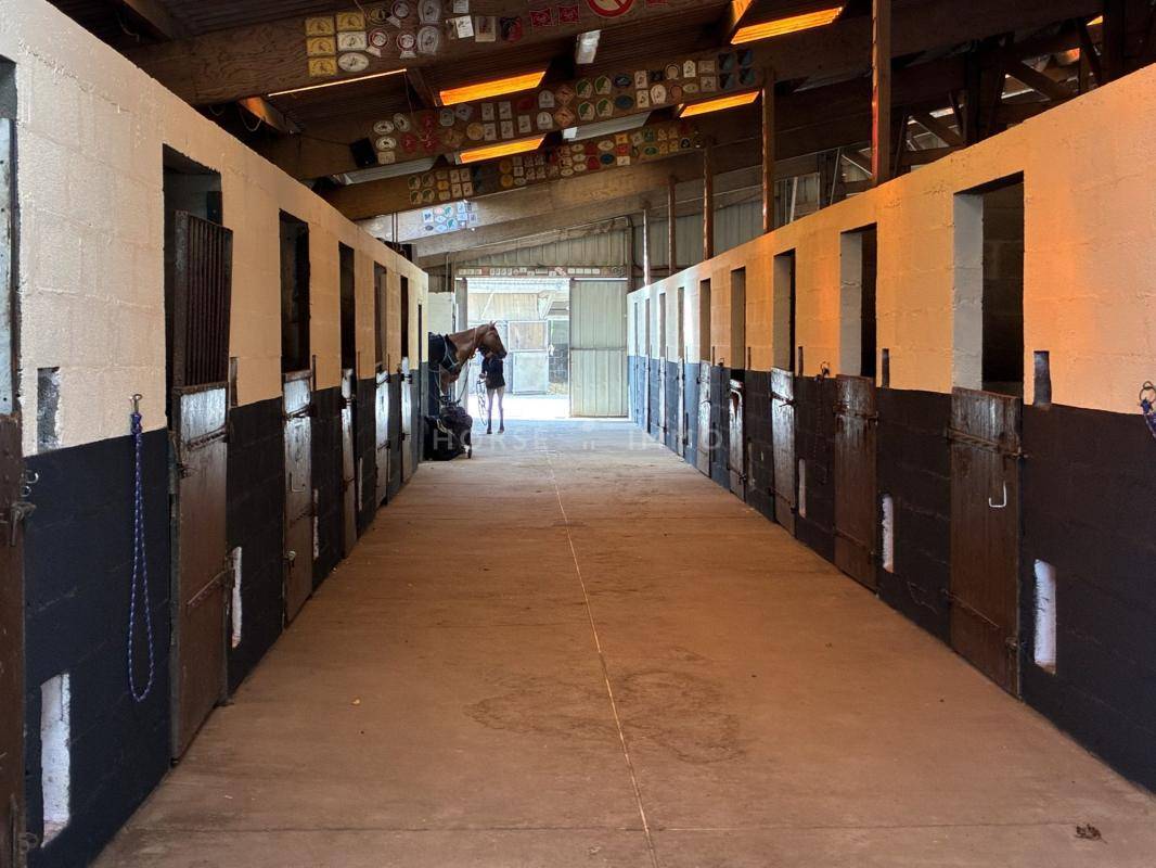 Exclusivit&eacute;, Ecurie 30 boxes, 2 man&egrave;ges, carri&egrave;re, 8 ha