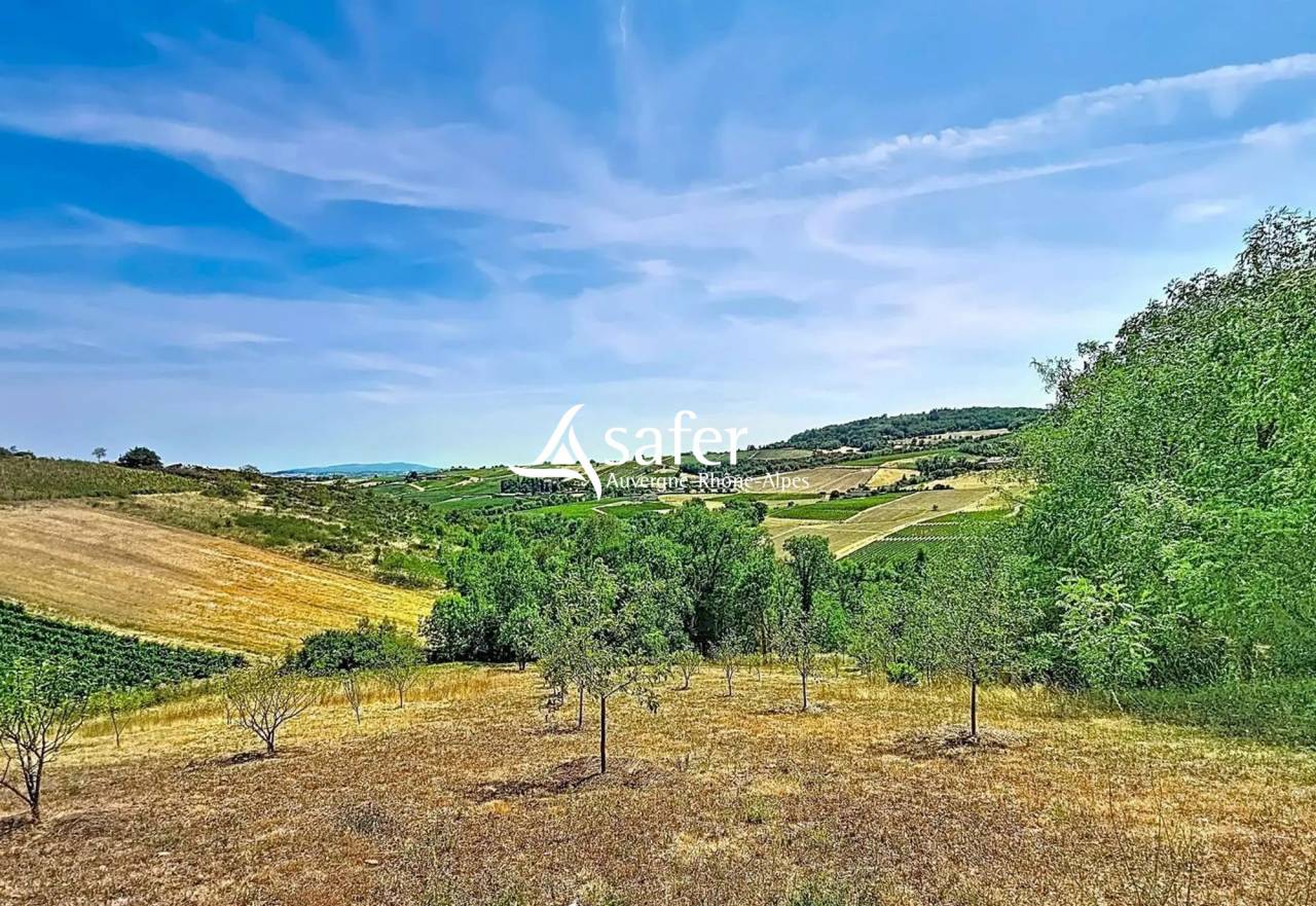 PROPRIETE DE CARACTERE RENOVEE - BEAUJOLAIS