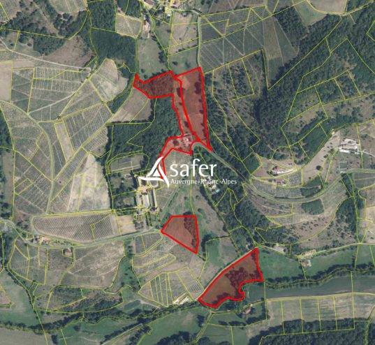 FERME RENOVEE EN PIERRE ET GITE -SECTEUR BEAUJOLAIS