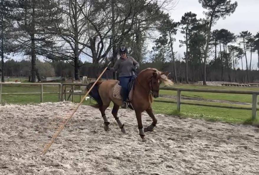&Agrave; vendre Imperioso PRE