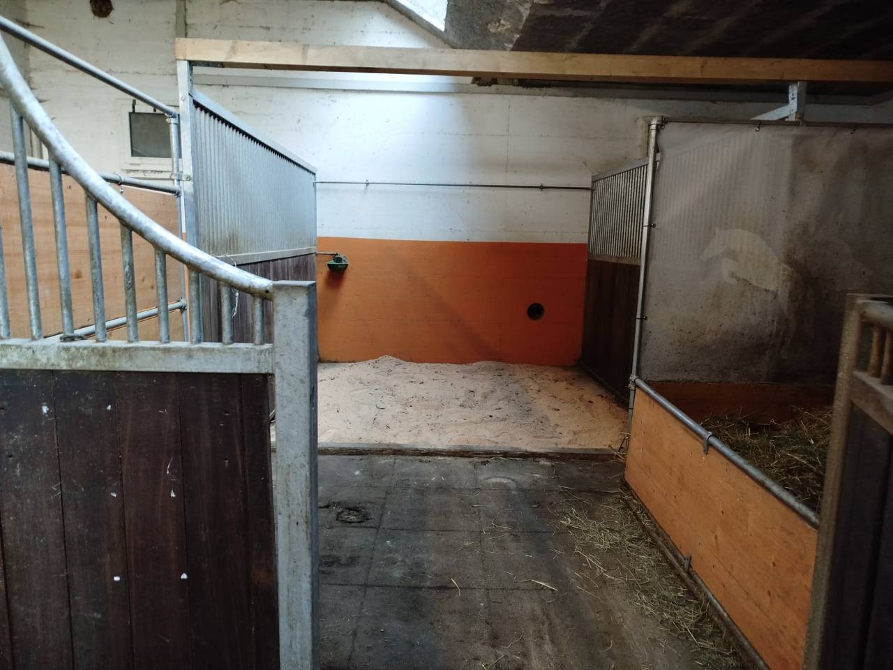 Box disponible - Ecurie du Pralet - La Coudre