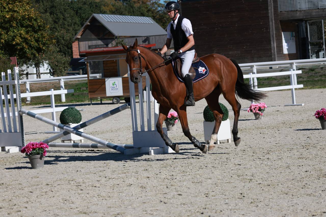 Jeune cheval 3 ans CSO - CCE