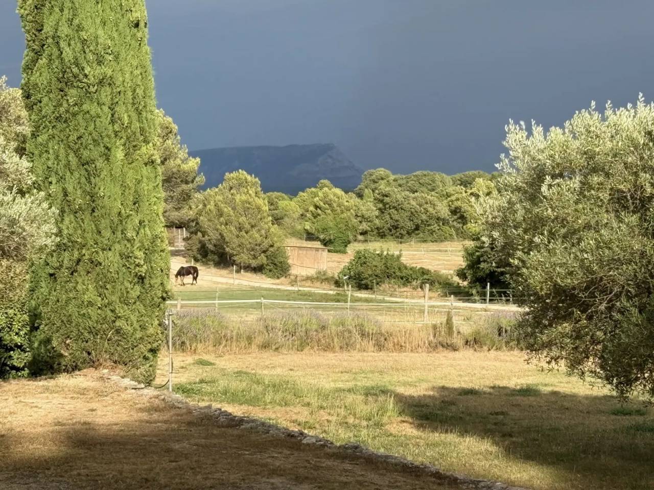  Demeure 300 m&sup2;, 3 ha, piscine, voisine &eacute;curies