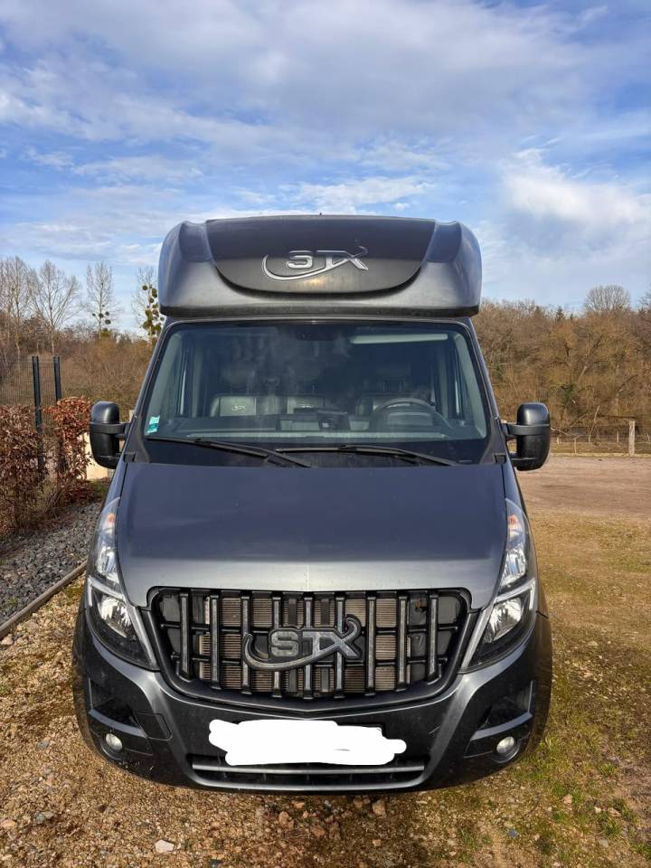 CAMION CHEVAUX Movano 