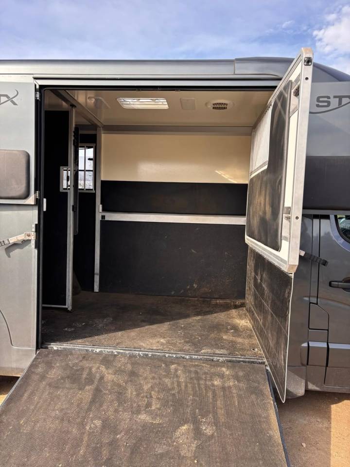 CAMION CHEVAUX Movano 