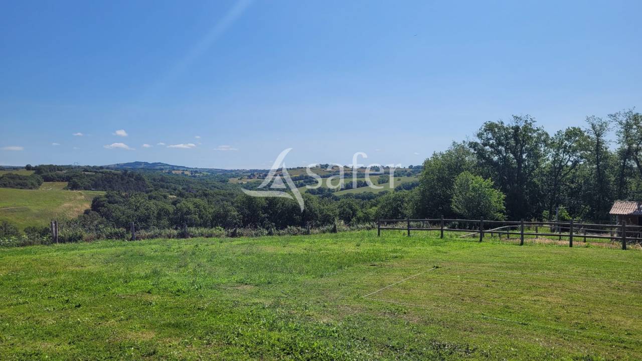 Propri&eacute;t&eacute; &eacute;questre Albi 8ha