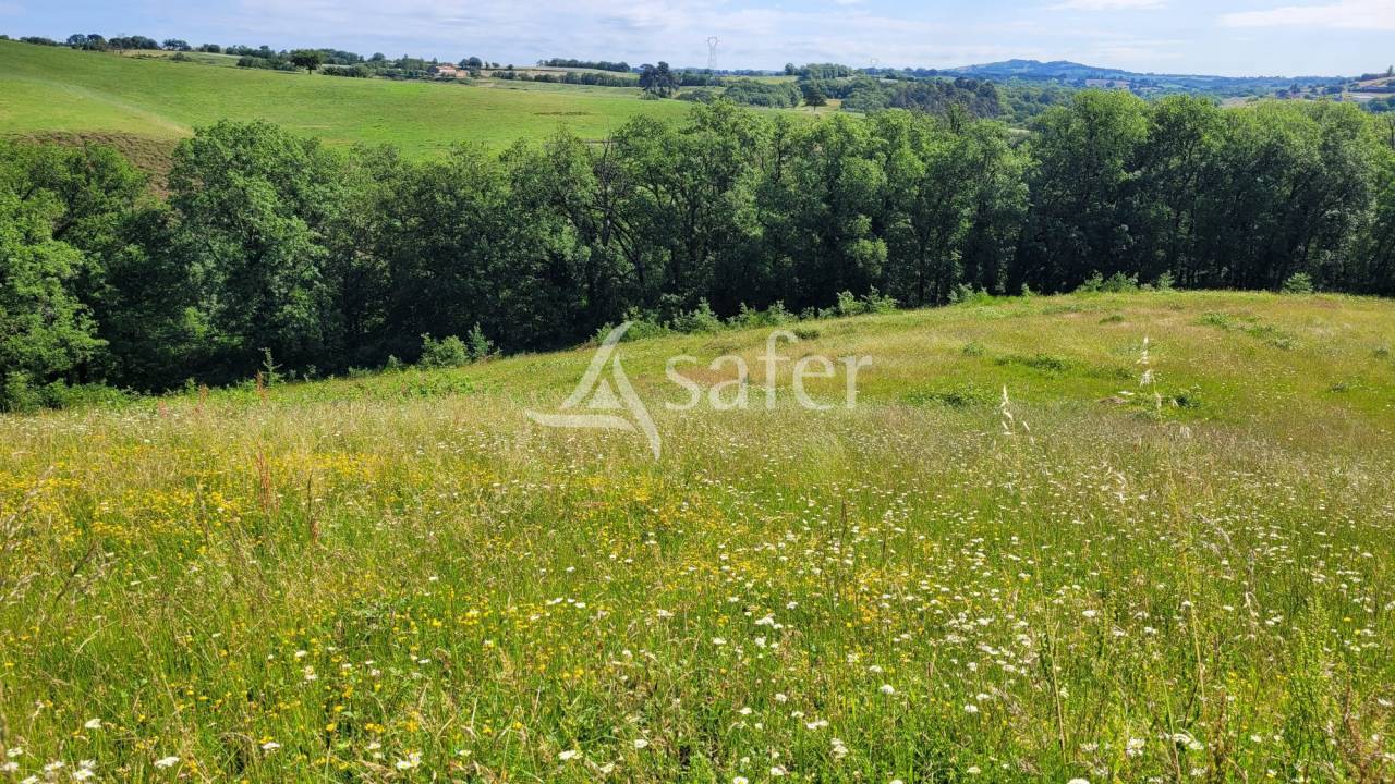 Propri&eacute;t&eacute; &eacute;questre Albi 8ha
