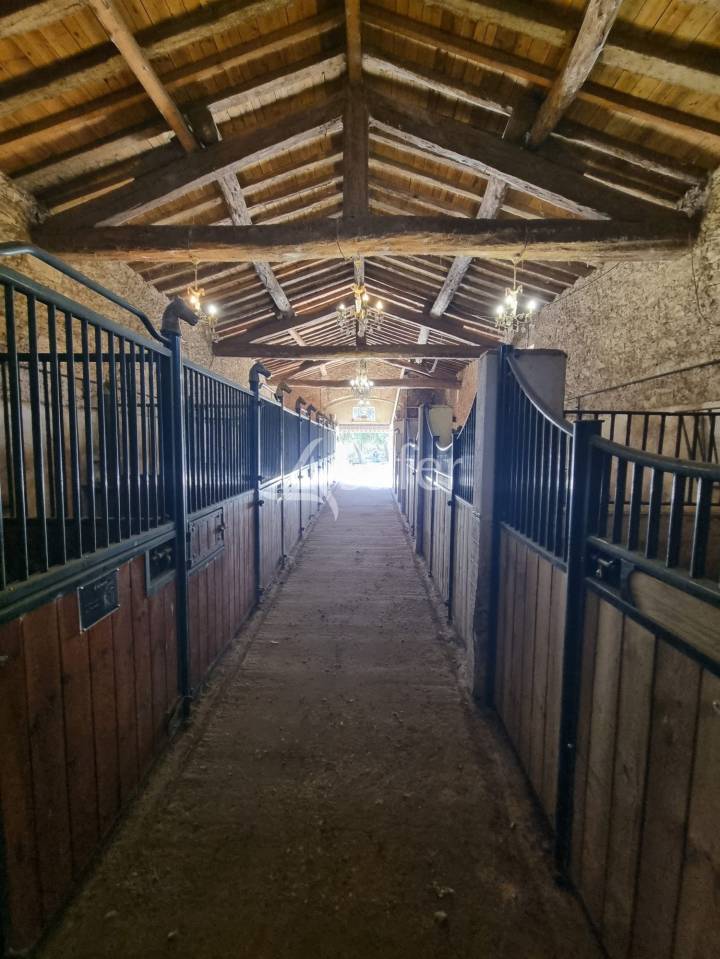 Montpellier EST : Domaine &eacute;questre 16ha  Opportunit&eacute; - empl