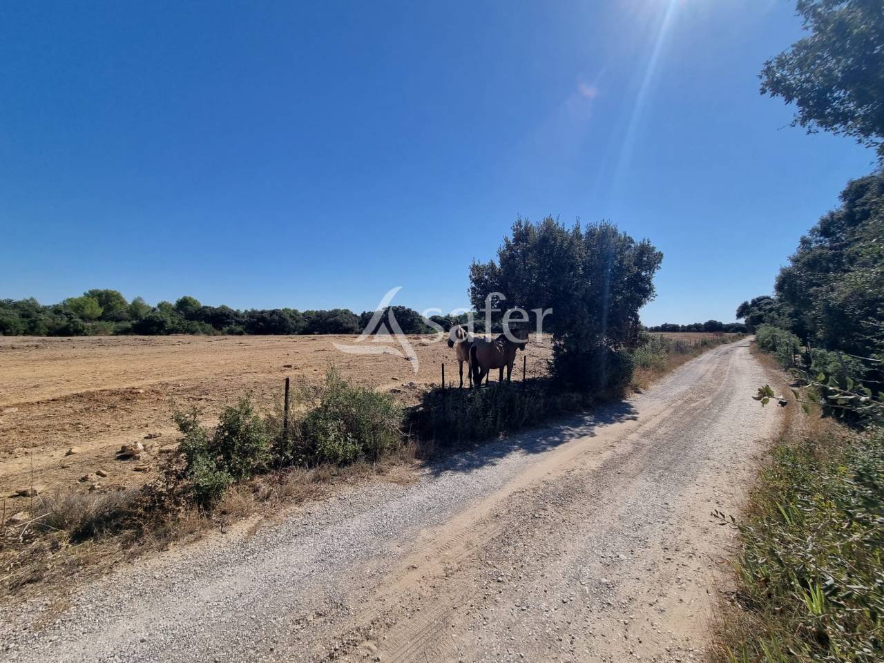 Montpellier EST : Domaine &eacute;questre 16ha  Opportunit&eacute; - empl