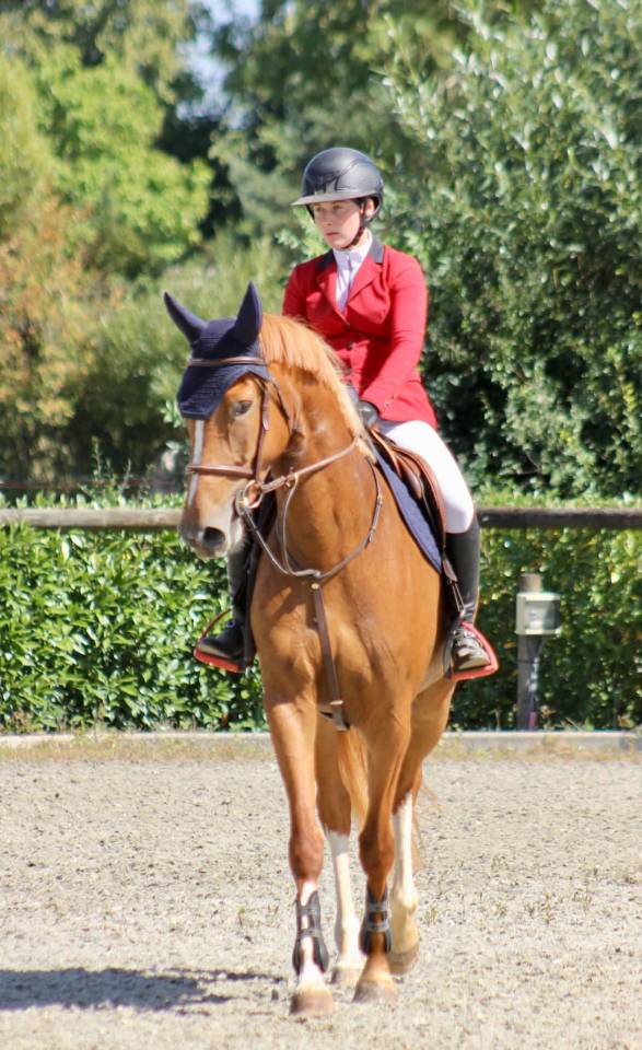 JUMENT SBS DE 2022