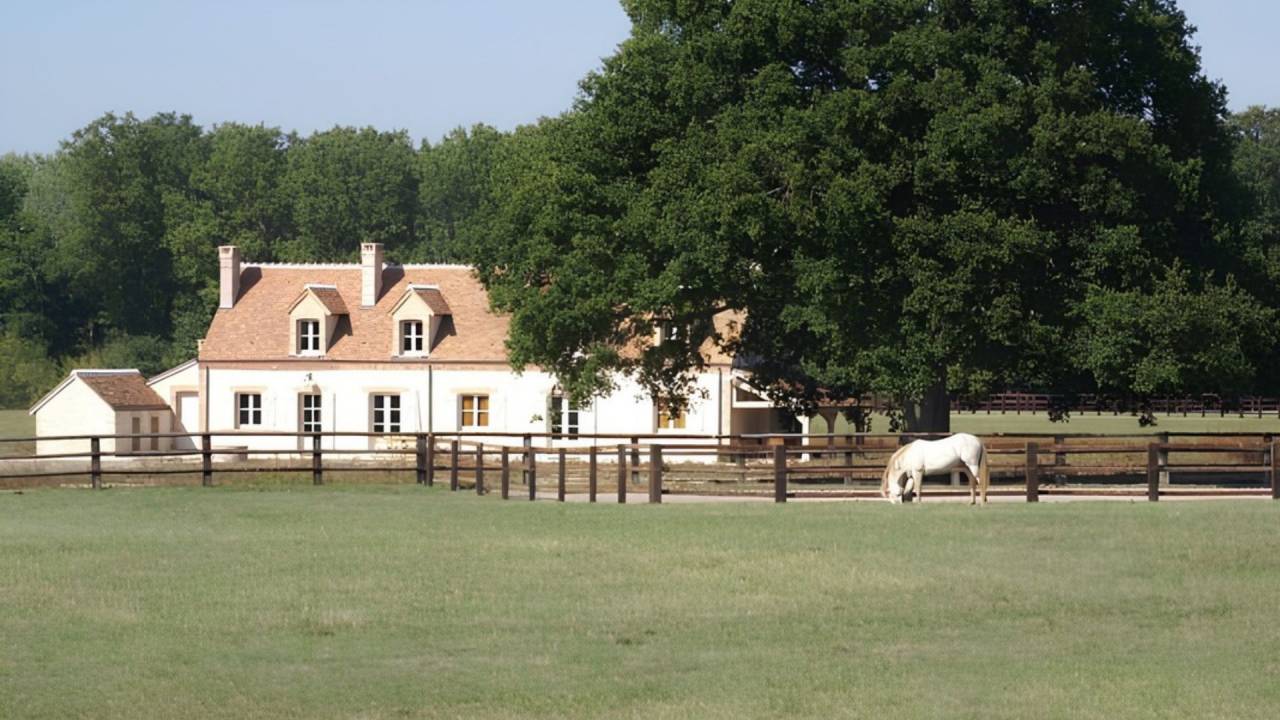 Sologne : Propri&eacute;t&eacute; &eacute;questre de charme 