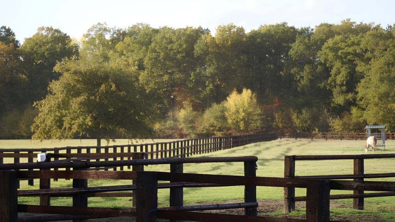 Sologne : Propri&eacute;t&eacute; &eacute;questre de charme 