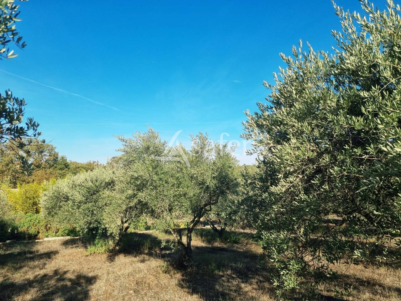 Exploitation agricole aux multiples possibilit&eacute;s &agrave; la lisi&egrave;re