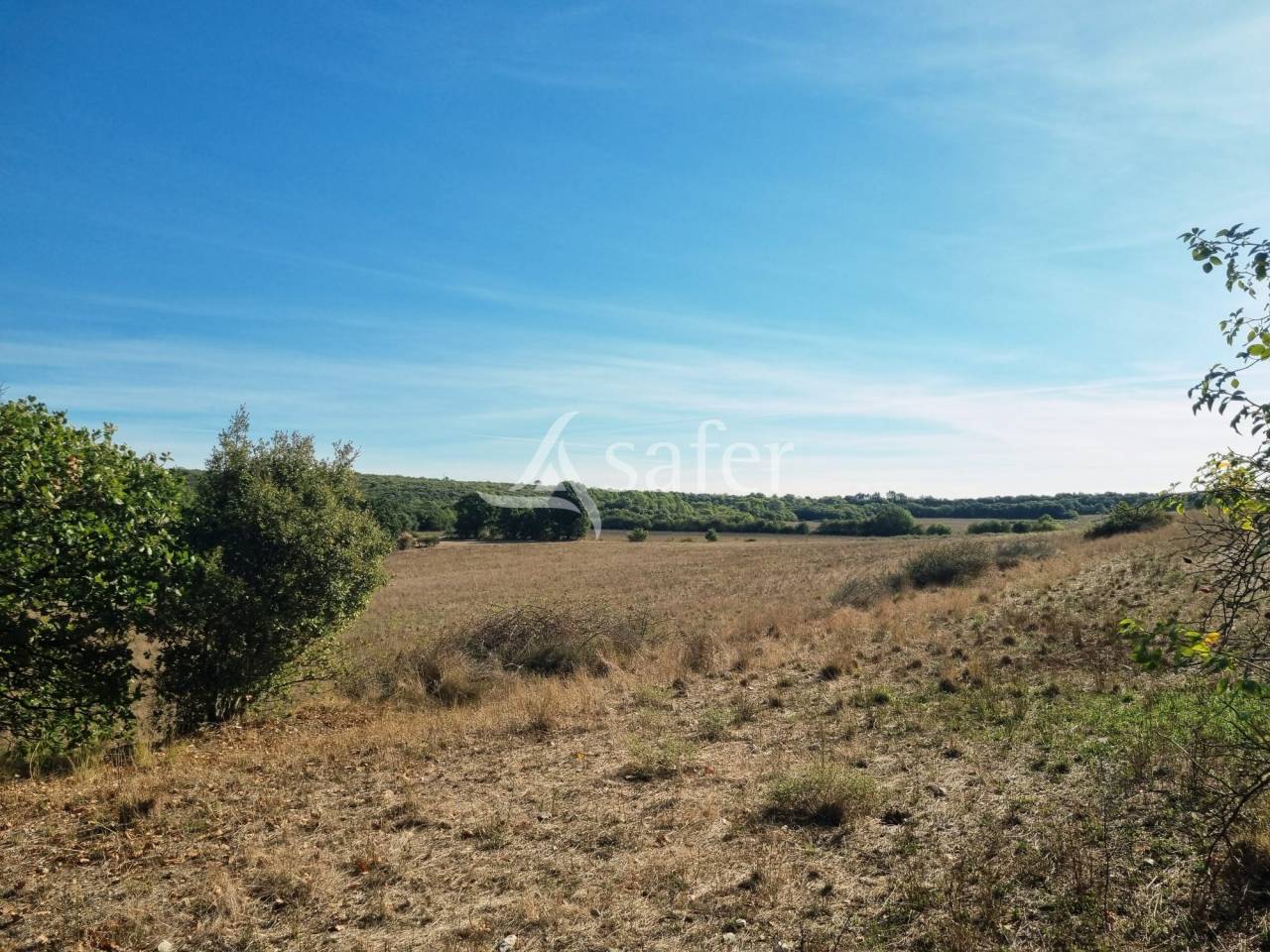 Exploitation agricole aux multiples possibilit&eacute;s &agrave; la lisi&egrave;re