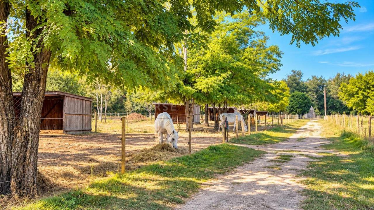 Luberon - DOMAINE &Eacute;QUESTRE SUR 12 HECTARES