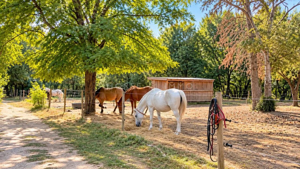 Luberon - DOMAINE &Eacute;QUESTRE SUR 12 HECTARES