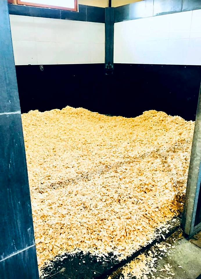 &Eacute;curie de galop cl&eacute; en main &ndash; 38 boxes &ndash; Lamorlaye / Chantilly