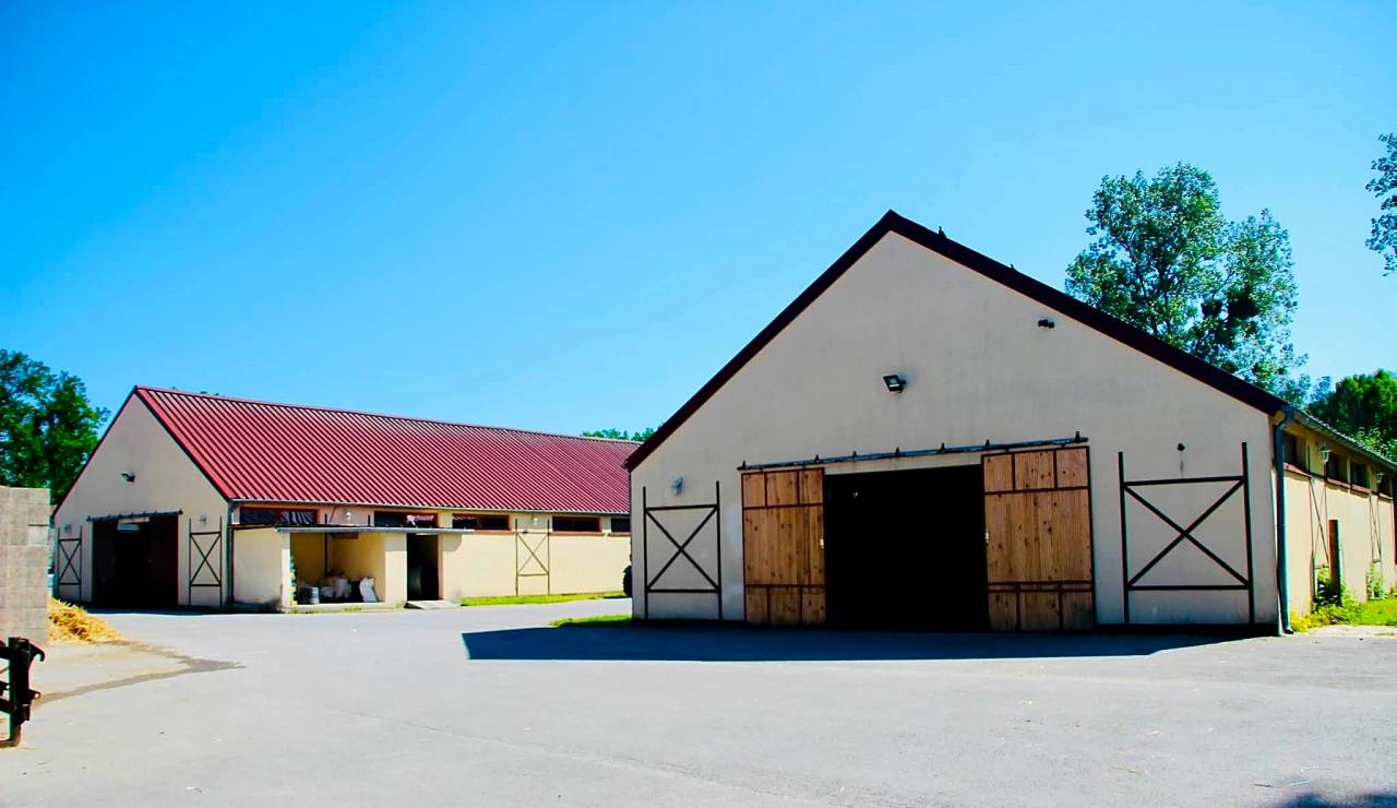 &Eacute;curie de galop cl&eacute; en main &ndash; 38 boxes &ndash; Lamorlaye / Chantilly