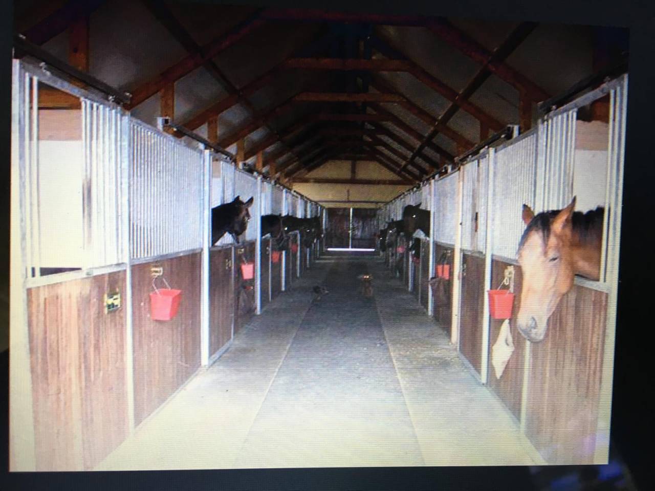 &Eacute;curie de galop cl&eacute; en main &ndash; 38 boxes &ndash; Lamorlaye / Chantilly