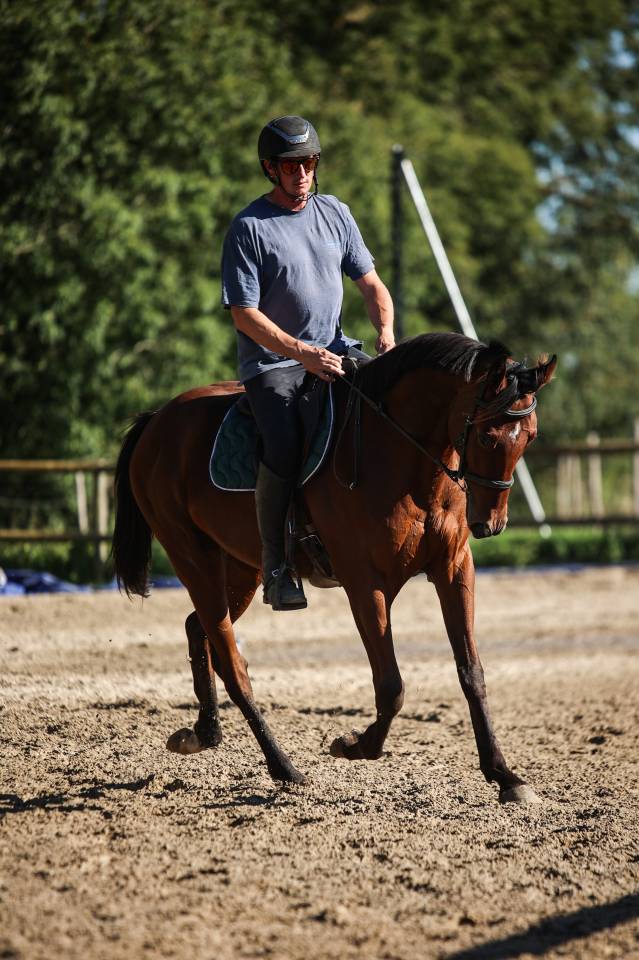 GEORGES - 3ans (4 en janvier) - 1m62