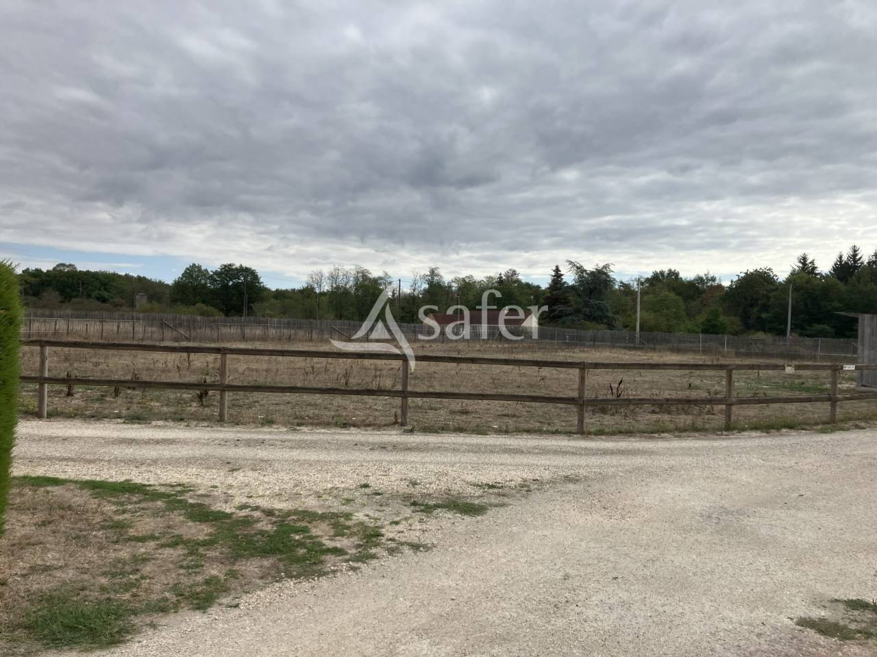 Pension canine et f&eacute;line en Sologne