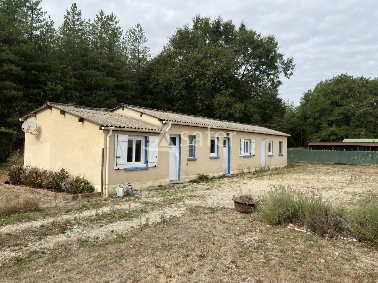 Pension canine et f&eacute;line en Sologne