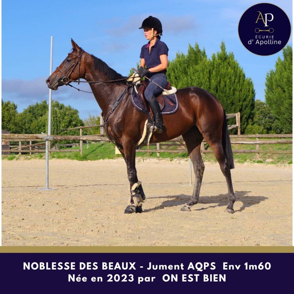 superbe jeune AQPS