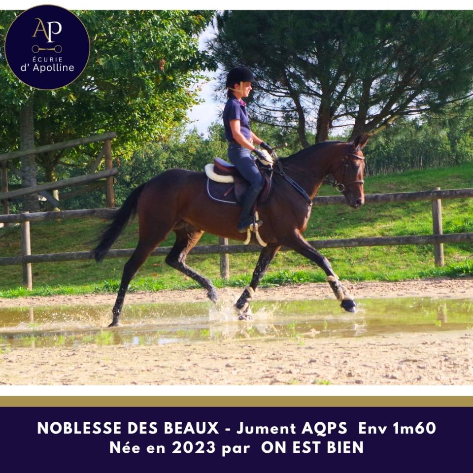 superbe jeune AQPS