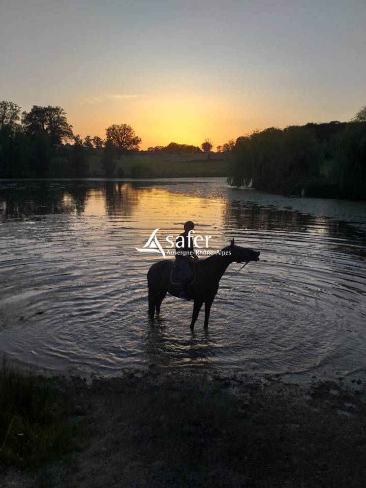 Domaine h&ocirc;telier et touristique avec activit&eacute; &eacute;questre
